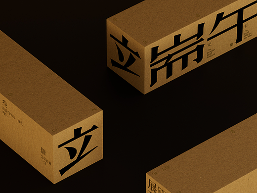 展开设计端午礼\Dragon Boat Festival Gift
