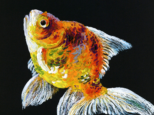 油画棒金鱼绘画步骤