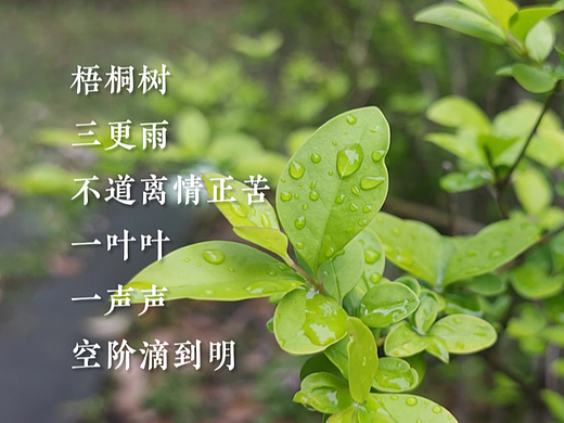 雨后初晴（个人主页-ZNTk0OTMwMjA=） - 风光摄影 - 站酷设计师Meing原创素材 - 站酷ZCOOL