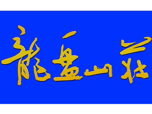 书法家手写字体“龙盘山庄”