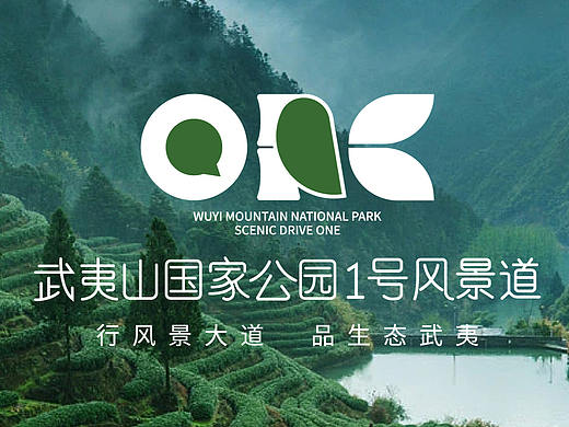 相约武夷  不负青春