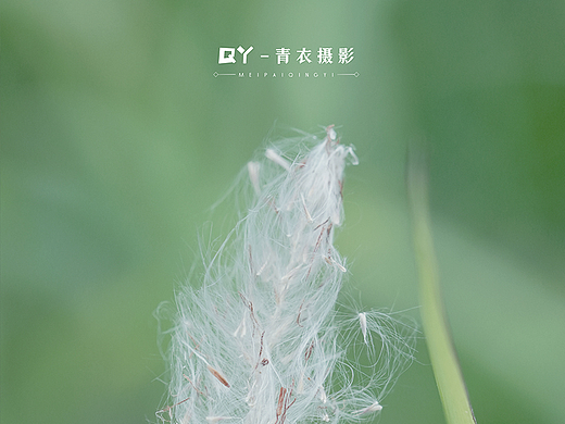 索尼FX30微距拍摄