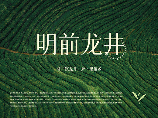 快消品「明前龙井】-- 品牌视觉设计