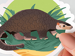 珍稀动物I插画I它们