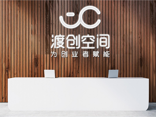 VI设计 LOGO设计 样机展示