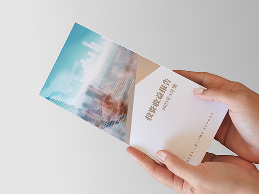 金融投资公司客户投资收益报告