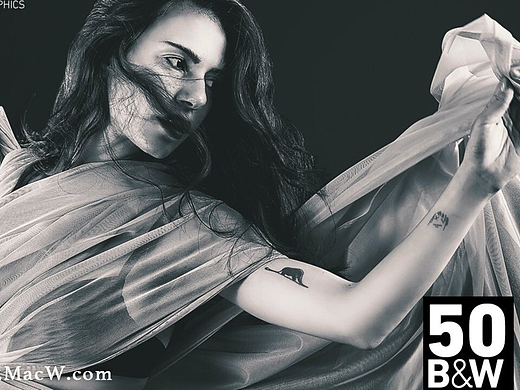 50组黑白风格LUTs电影风格调色预设 Black and White Color