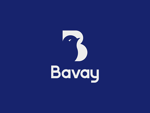 bavay户外生活品牌全案升级