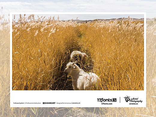 上海因心一祁造字最美中国航拍作品之大美新疆(四)