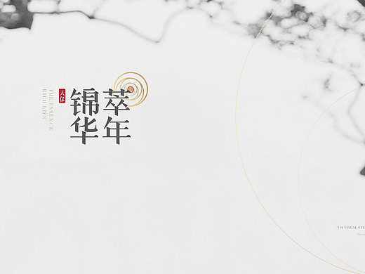 天保锦萃华年