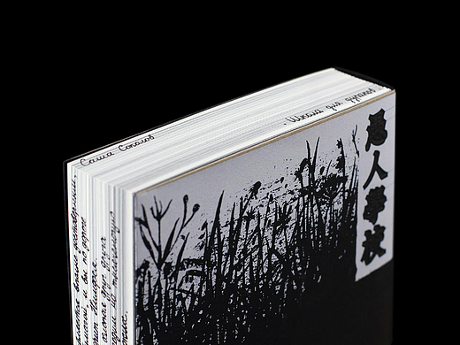 【書籍设计分享】萨沙·索科洛夫《愚人学校》