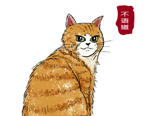 橘猫1