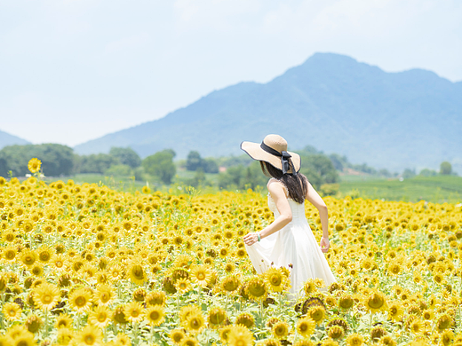 向日葵花海里奔跑的少女
