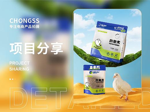 宠物产品摄影|宠叔叔  X  鸽老大