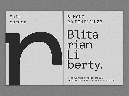 复古简约时尚品牌杂志画册封面排版标题衬线英文字体