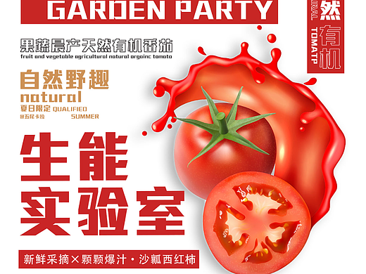 【第七天】—【阳光大番茄】
