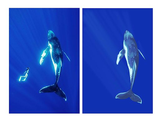 绘画星球打卡挑战20