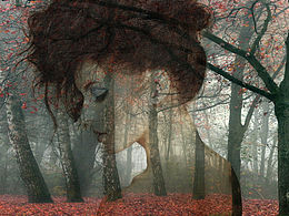 幽静中的人脸简单合成图