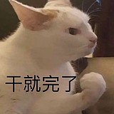 橘猫警长来了的头像