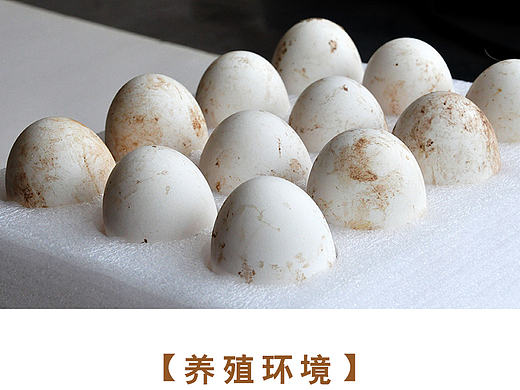 鹅蛋详情