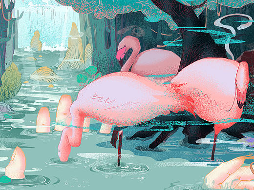 火烈鸟