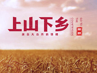 上山下乡农产品LOGO设计
