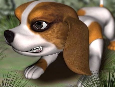 3DS MAX小狗表情动画测试