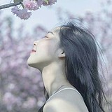 婷婷王Ww的头像