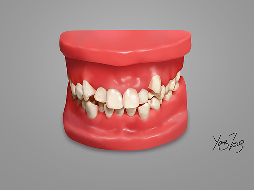 牙列模型手繪（個(gè)人主頁(yè)-ZNjEzNjUxMzY=） - 創(chuàng)作習(xí)作 - 站酷設(shè)計(jì)師MISS歐原創(chuàng)素材 - 站酷ZCOOL