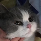 __11的头像