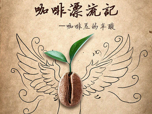 咖啡豆漂流记