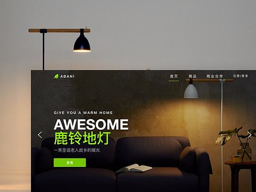 ABANI官网设计