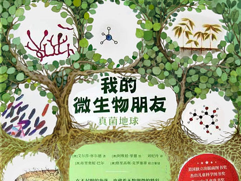 封面 我的微生物朋友