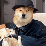 作光丨VISION的头像