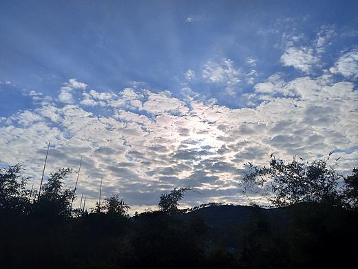 《向阳而生》（个人主页-ZMzYyNTc3NzY=） - 风光摄影 - 站酷设计师小小米虫虫子原创素材 - 站酷ZCOOL