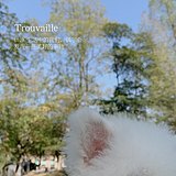 lliza的头像