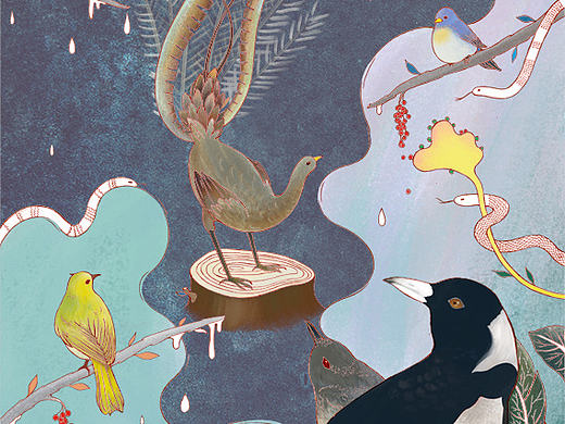 《澳洲动物寓言集》 The Garden of Sorrows 内文插画及装帧设计