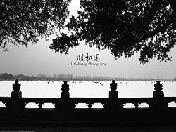 咦。。。和园