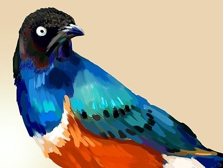 【练习篇】-鸟一