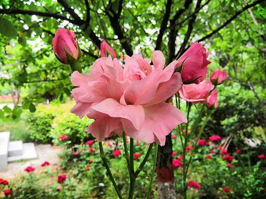 带你领略四季的变幻