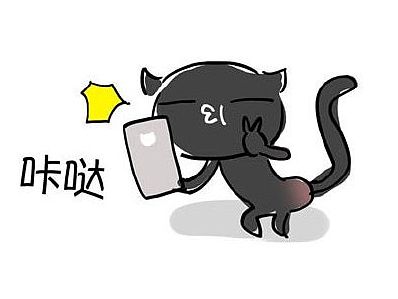 一只自拍的喵
