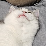 ONKEYA的头像