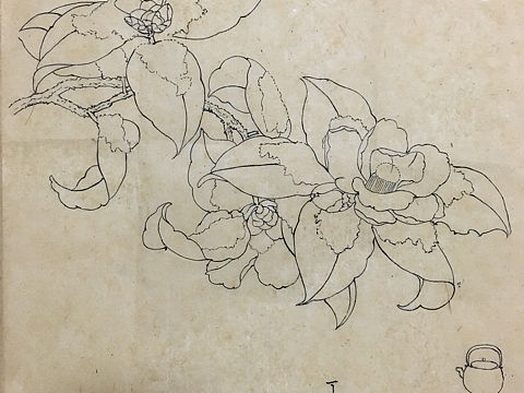 知茶（个人主页-ZMjQ4ODgwMjg=） - 绘画 - 站酷设计师柳郁生原创素材 - 站酷ZCOOL