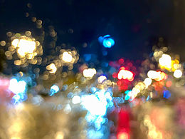 雨中花花世界