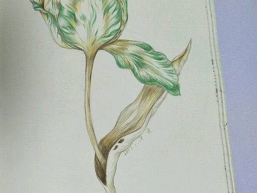 练习稿（个人主页-ZMjMyNTM4NDA=） - 创作习作 - 站酷设计师SkyeLu原创素材 - 站酷ZCOOL