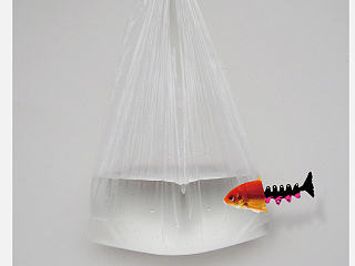 《如魚得水》（個人主頁-ZNjg3NzA1Mg==） - 海報 - 站酷設計師AI寶貝原創(chuàng)素材 - 站酷ZCOOL