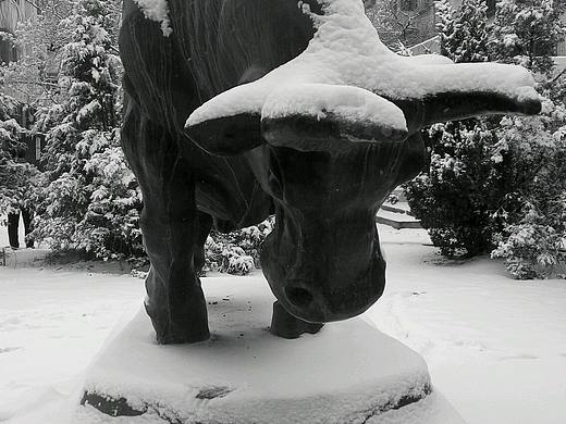 第一场雪