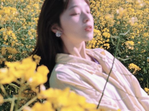 油菜花