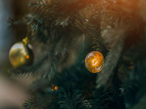 记录生活（个人主页-ZMjU5NjE1NTY=） - 产品摄影 - 站酷设计师Alice和糯米糍原创素材 - 站酷ZCOOL