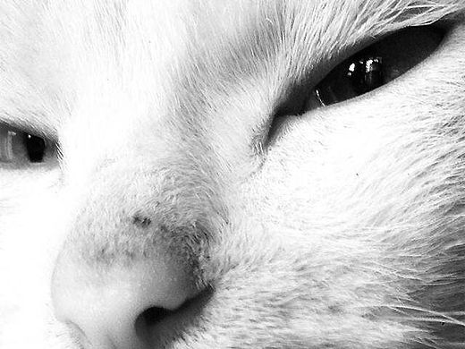 既然拍了，便应该有其意义吧（一）（个人主页-ZMTU1MzMyOTY=） - 风光摄影 - 站酷设计师王曦悦原创素材 - 站酷ZCOOL